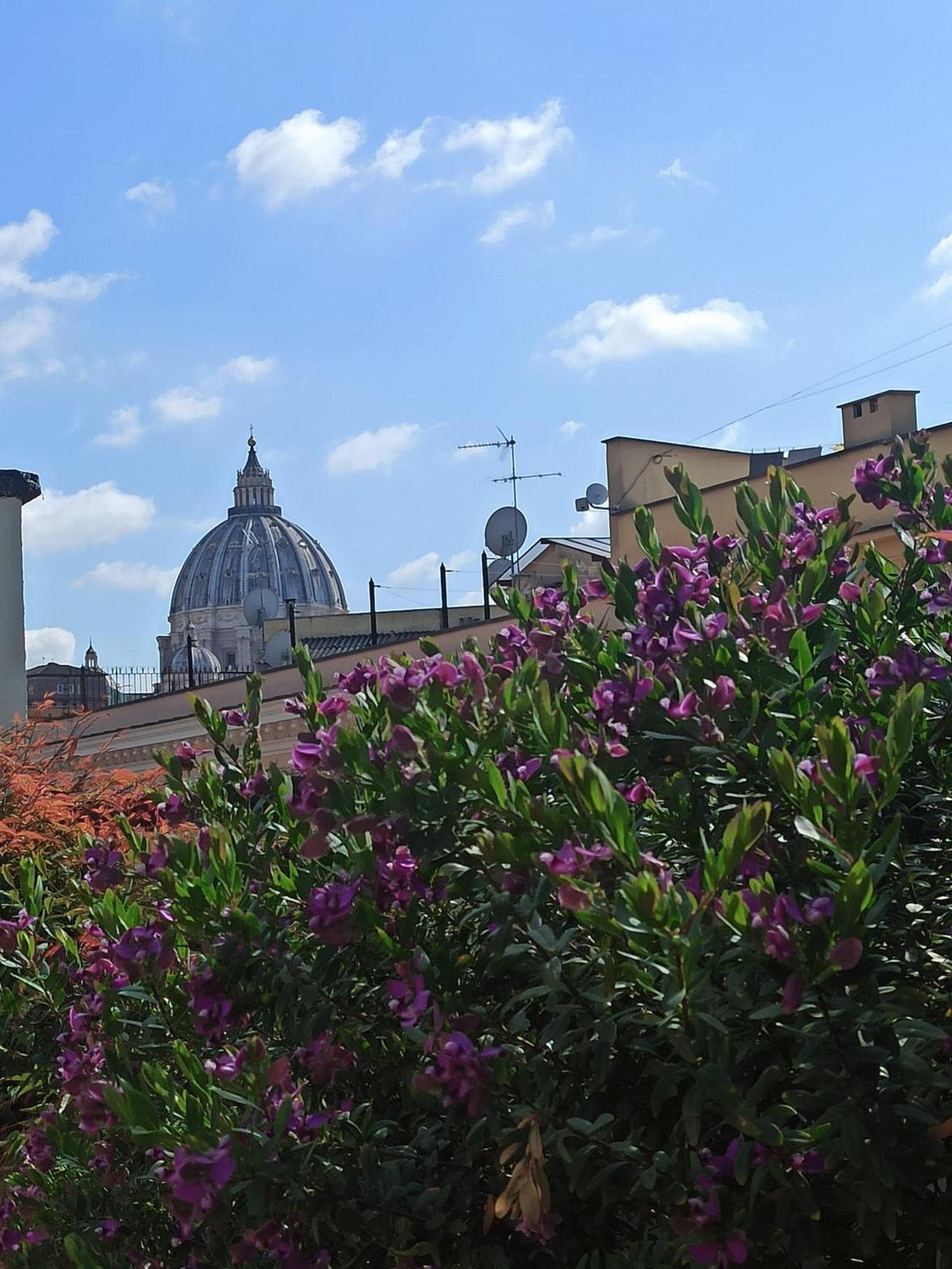 Living By Vatican With Panoramic Terraces In Roma Eksteriør bilde